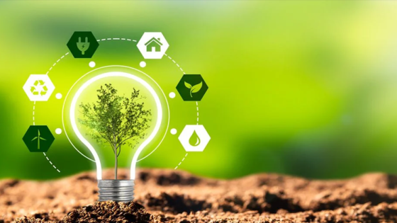 “África por el Océano”: Sectores Clave para una Economía Azul Sostenible.