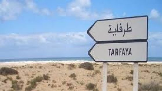 TARFAYA. Oportunidad Estratégica en Minerales Críticos