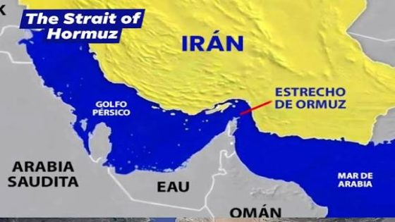 Opciones para la gestión de tasas en el estrecho de Ormuz