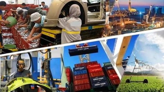 Marruecos ante la nueva geografía mundial de la inversión: una internacionalización todavía asimétrica